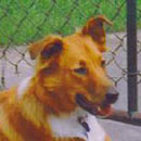 Dolly was adopted in April, 2005